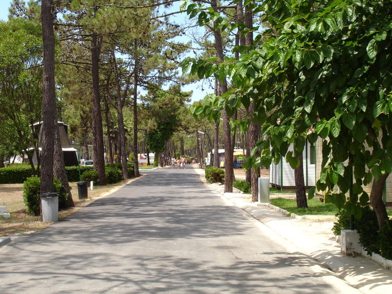 Parque De Campismo Orbitur Gala Hotel Figueira da Foz Bagian luar foto