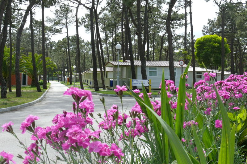 Parque De Campismo Orbitur Gala Hotel Figueira da Foz Bagian luar foto